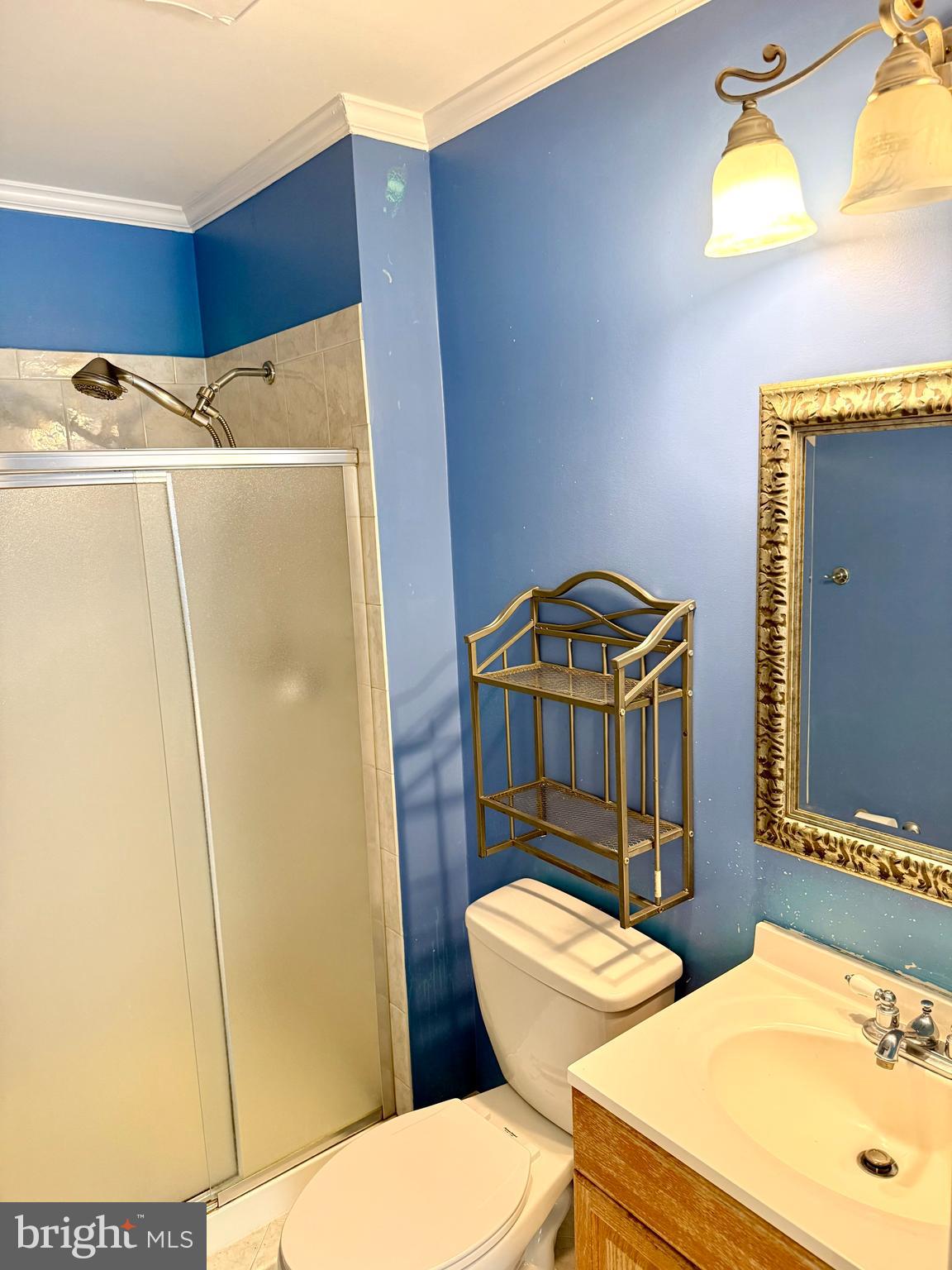 6029 Selwood Place Springfield, VA 22152 - Photo 13 of 16 a bathroom with a sink a toilet and a mirror