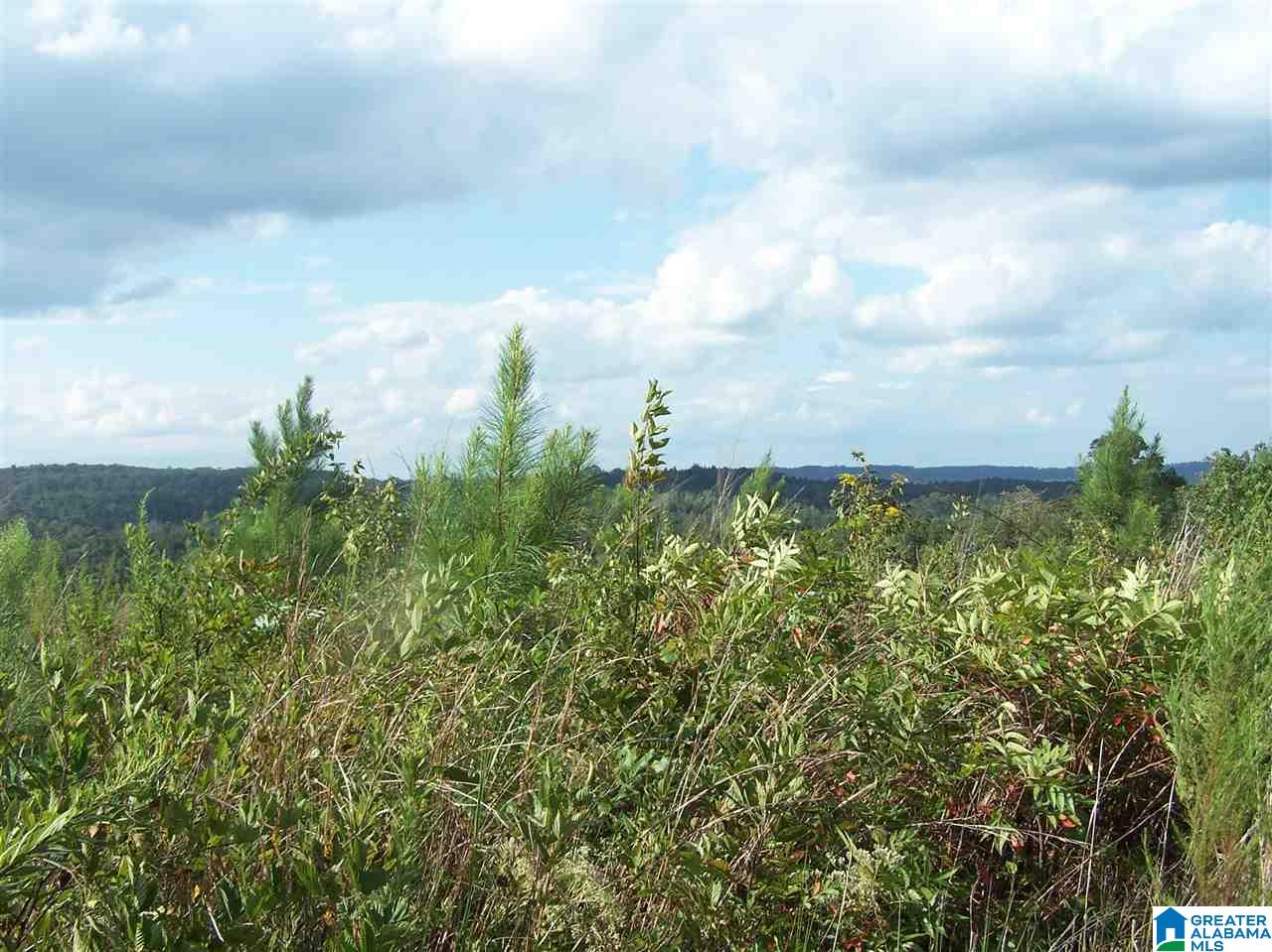 0 Jackson Trail, Unit 140 ACRES Altoona, AL 35952 - Photo 31 of 50