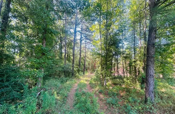 $185,800 | 18.3-acres - Turkey Lane, Kingstree, SC 29556