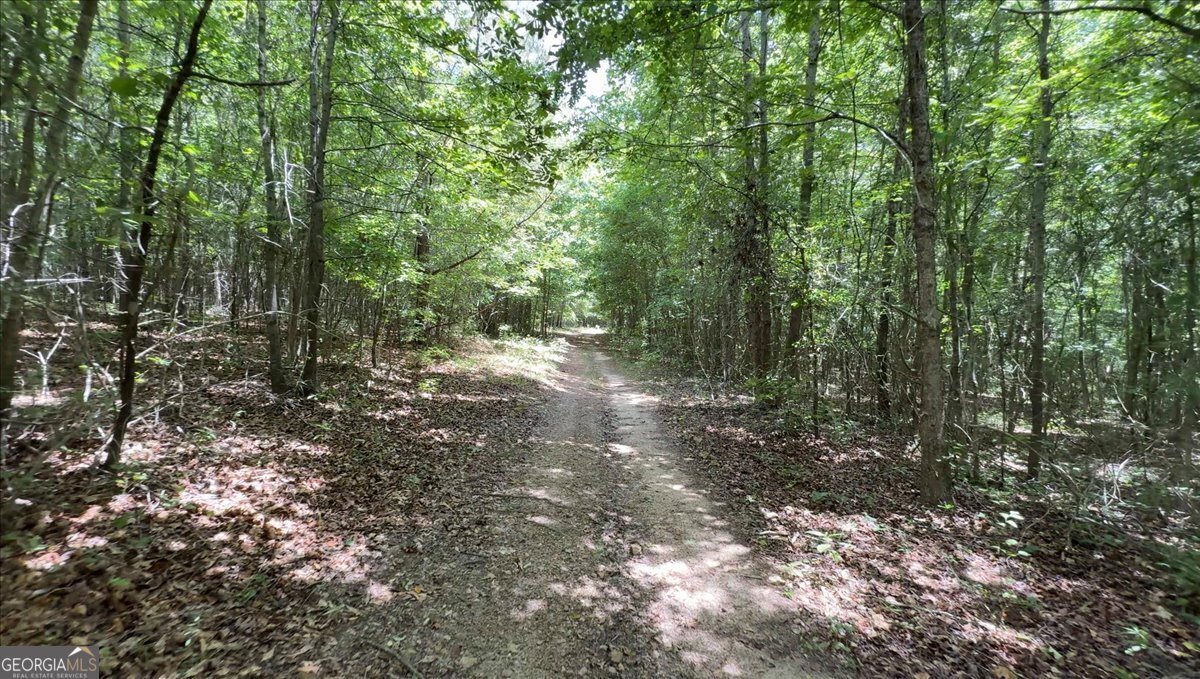 48.04-acres Caldwell Road Zebulon, GA 30295 - Photo 10 of 23 a view of a forest with trees in the background