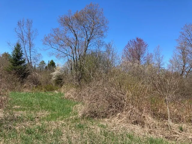 $265,000 | Potato Road, Canaan, NH 03741