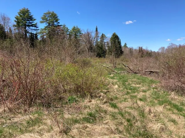 $265,000 | Potato Road, Canaan, NH 03741