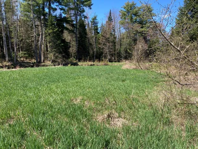 $265,000 | Potato Road, Canaan, NH 03741