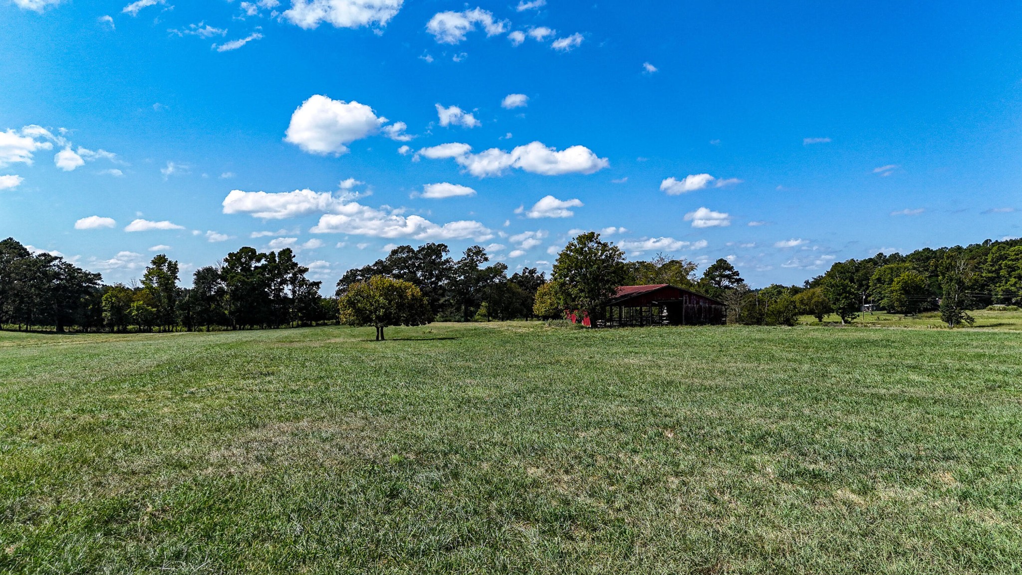2 Gap Springs Road Southeast Old Fort, TN 37362 - Photo 6 of 9