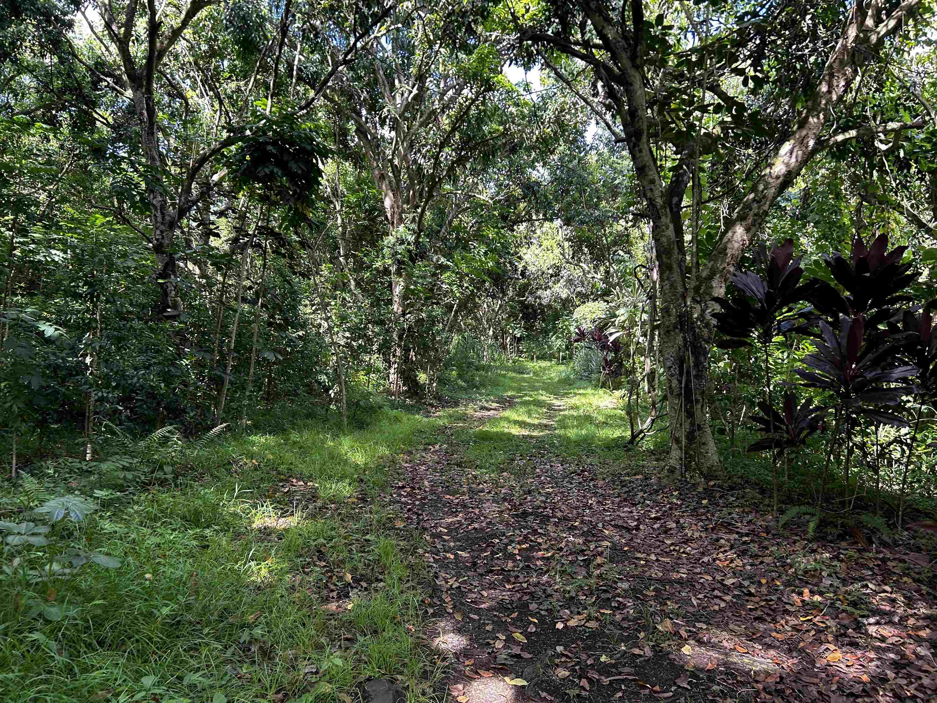 159 Waiohonu Road Hana, HI 96713 - Photo 12 of 19
