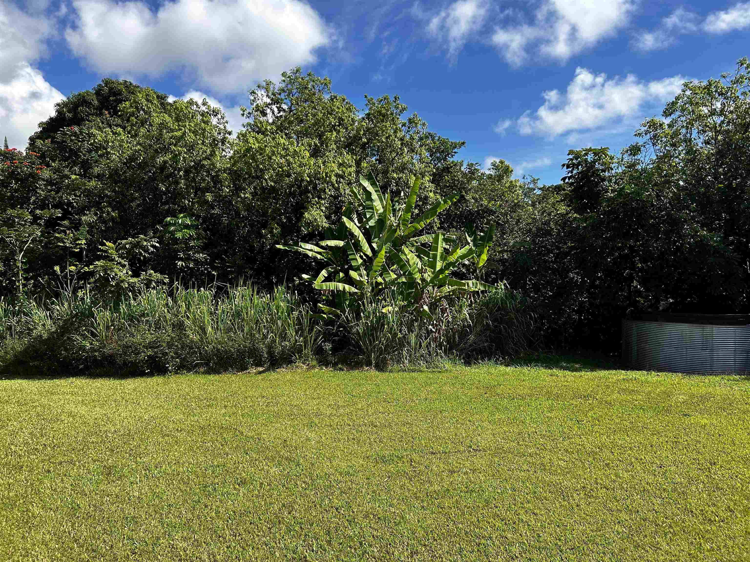 159 Waiohonu Road Hana, HI 96713 - Photo 7 of 19