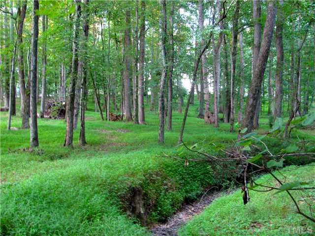 6029 Farmpond Road Apex, NC 27523 - Photo 3 of 8