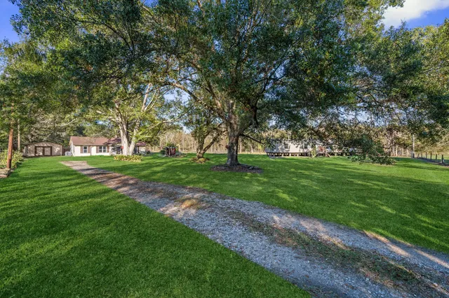 a view of green field