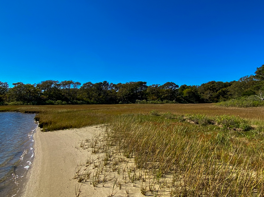 64 Dike Road Edgartown, MA 02539 - Photo 11 of 22