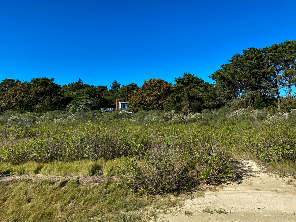 64 Dike Road Edgartown, MA 02539 - Photo 16 of 22