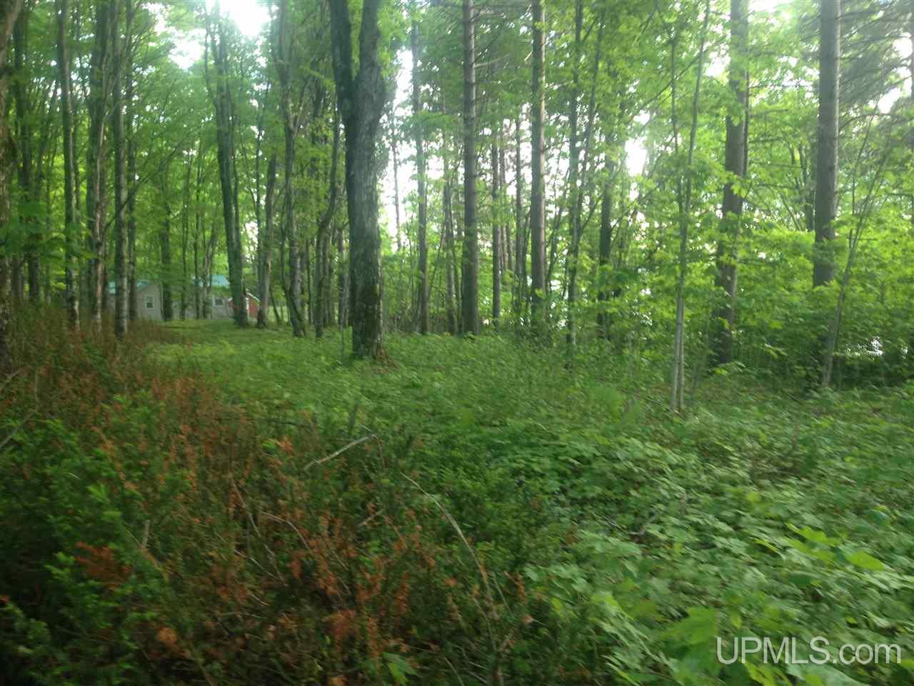 Tbd Luukkonen Camp Road Toivola, MI 49965 - Photo 3 of 19