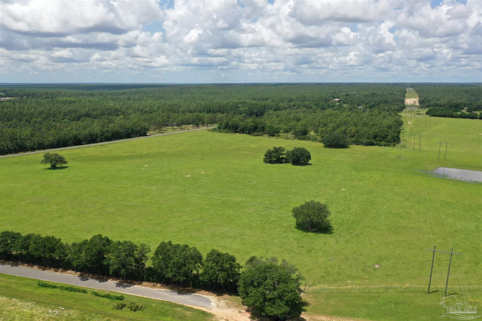 4929 Gilmore Road, Unit LOT 4 Baker, FL 32531 - Photo 2 of 11