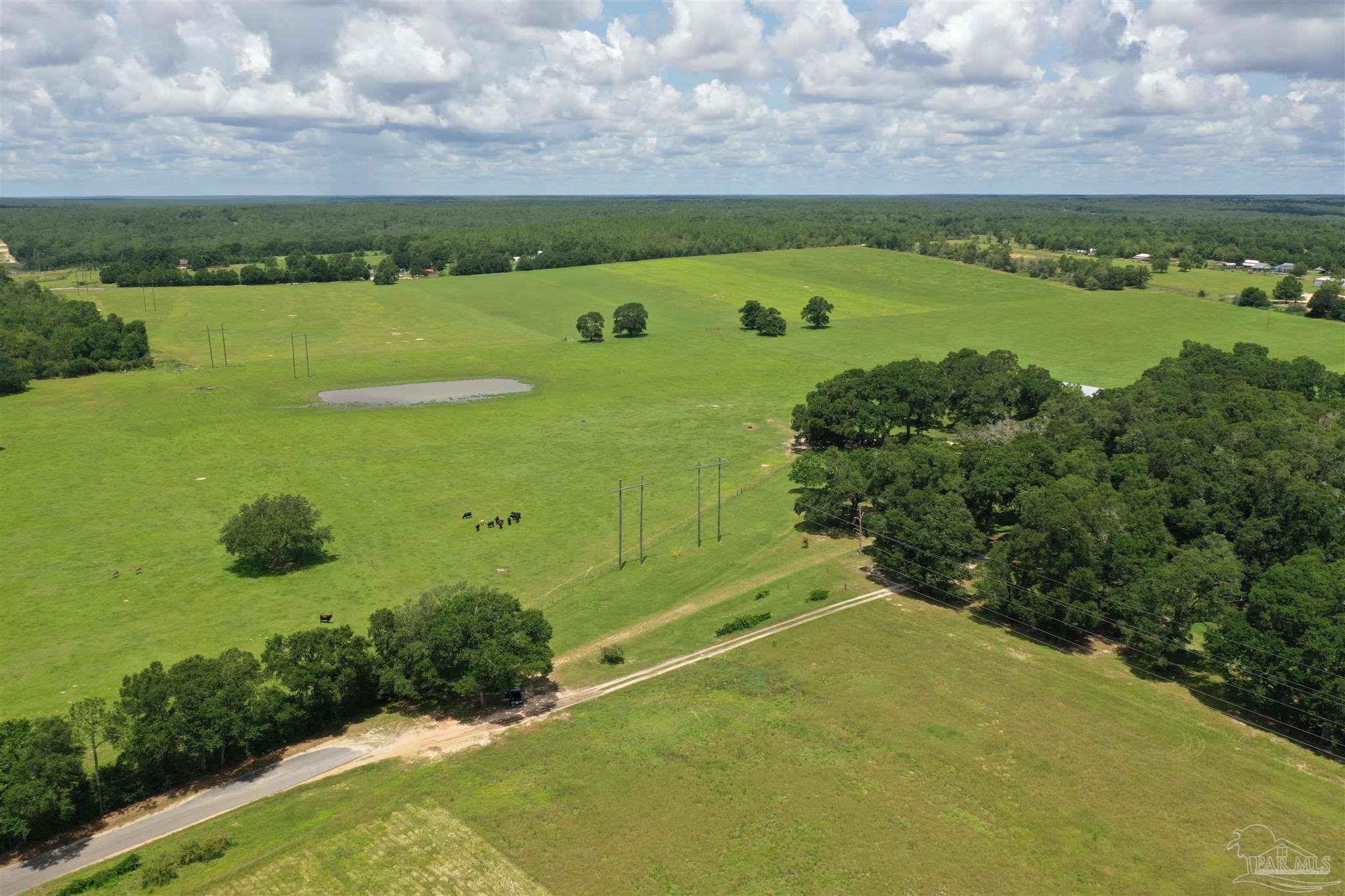 4929 Gilmore Road, Unit LOT 4 Baker, FL 32531 - Photo 11 of 11