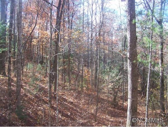 Lot 4 Cedar Valley Road Tuckasegee, NC 28783 - Photo 1 of 4 Gallery Image 1