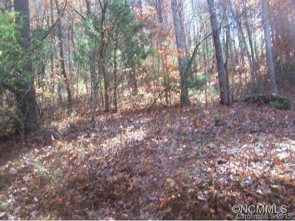 Lot 4 Cedar Valley Road Tuckasegee, NC 28783 - Photo 2 of 4 Gallery Image 2