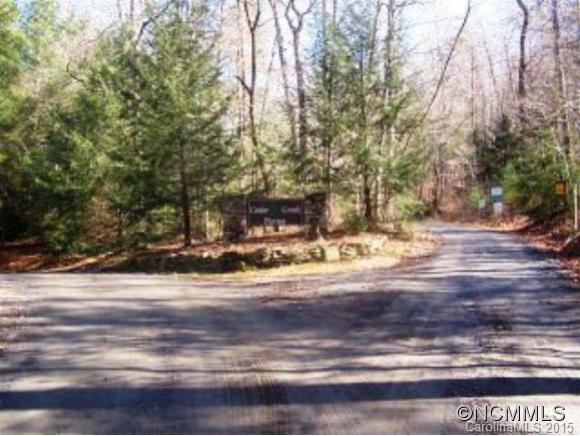 Lot 4 Cedar Valley Road Tuckasegee, NC 28783 - Photo 3 of 4 Gallery Image 3