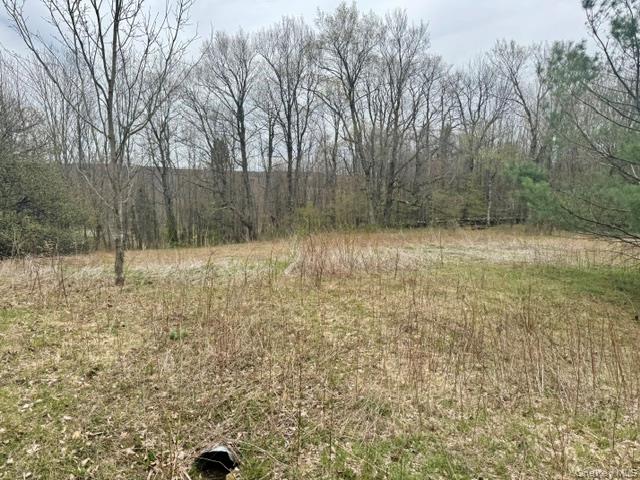Lot 4 Shaver Hill Road Meridale, NY 13806 - Photo 42 of 45 Gallery Image 42