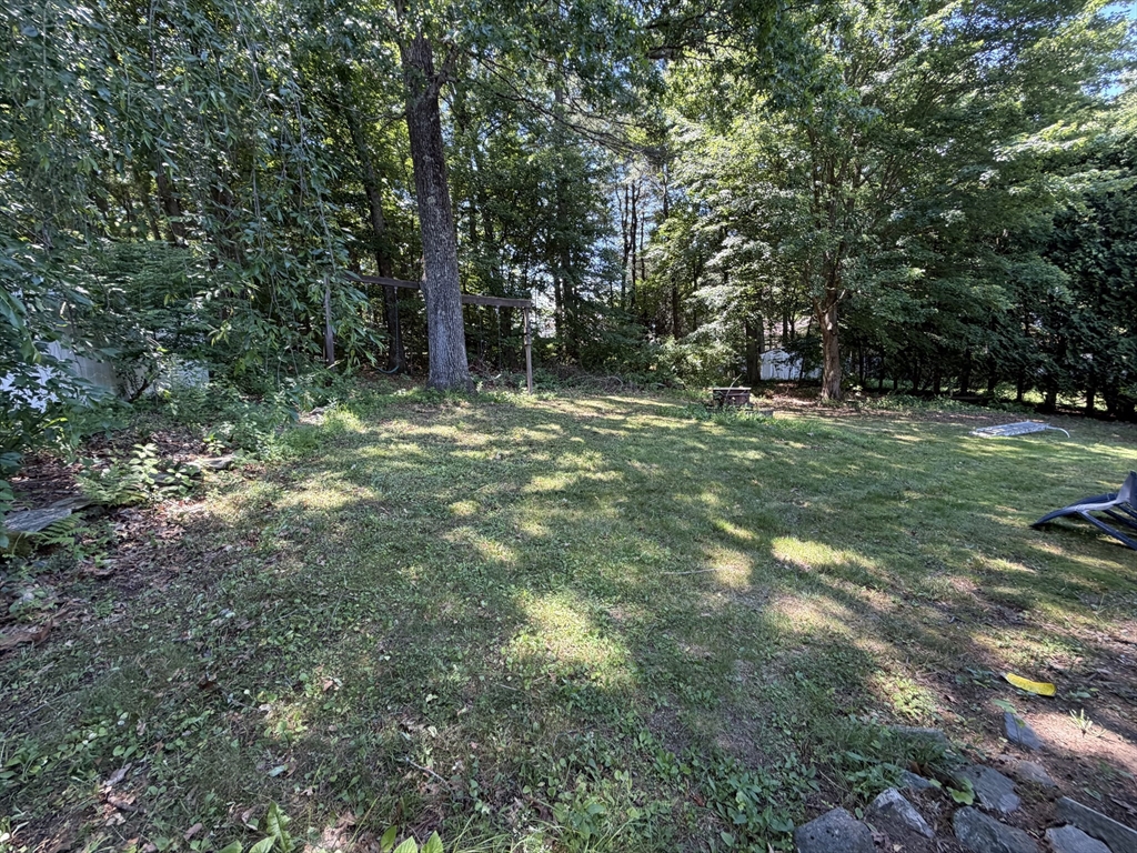 16 Clark Street Belchertown, MA 01007 - Photo 2 of 23 a view of a trees with a yard