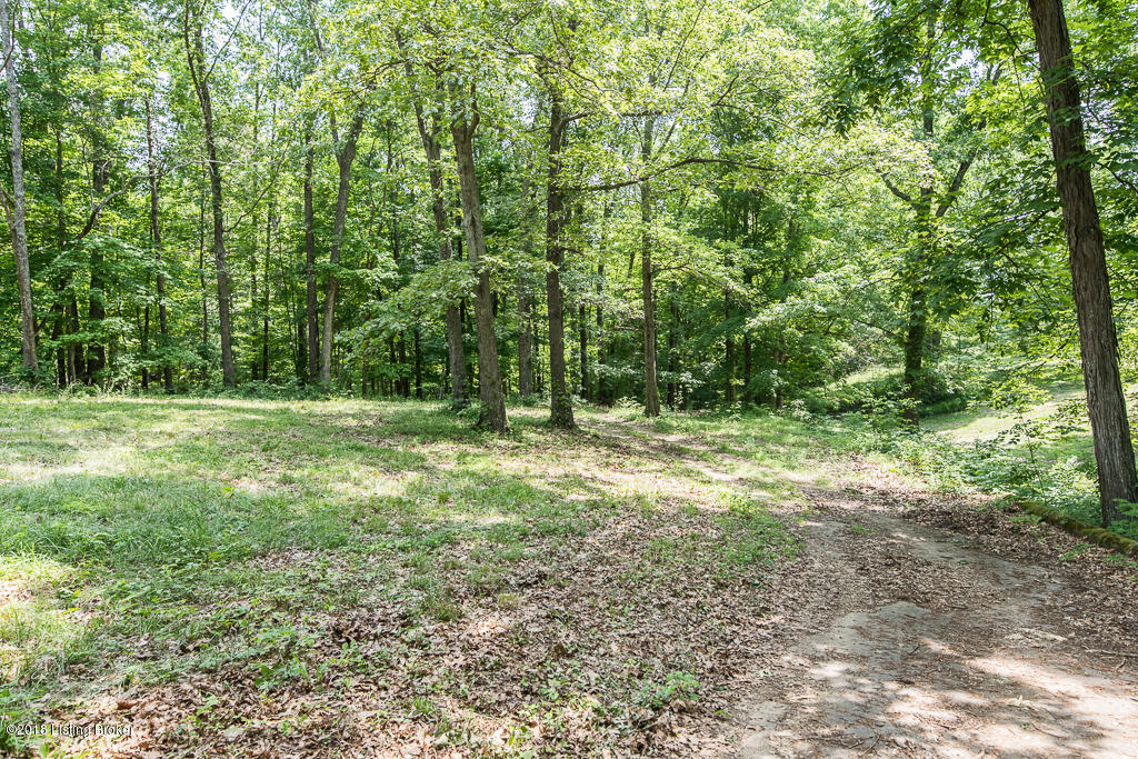 17118 Dry Ridge Road Louisville, KY 40299 - Photo 16 of 38 DSC_7260
