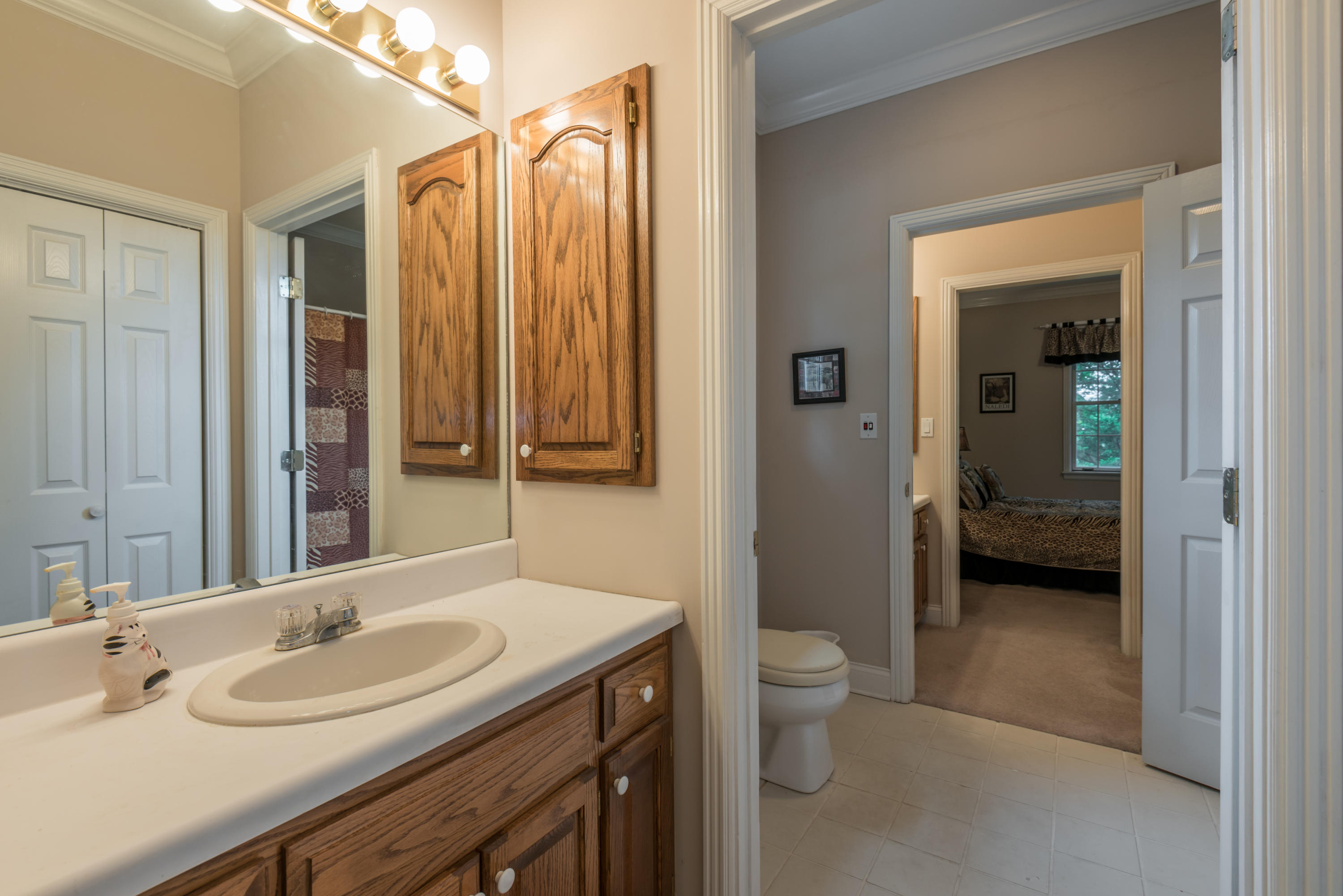 42 Rivers Run Way Oak Ridge, TN 37830 - Photo 17 of 37 Jack-n-Jill Bath