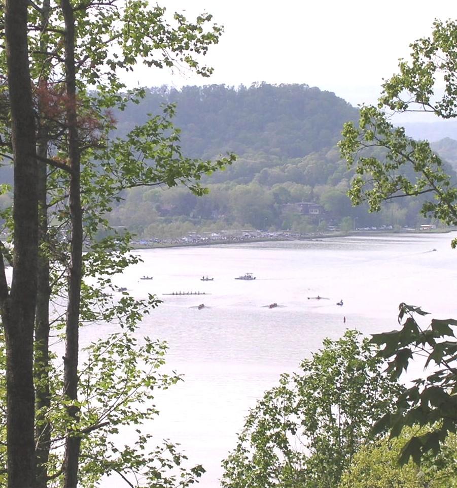 42 Rivers Run Way Oak Ridge, TN 37830 - Photo 34 of 37 Bird's eye view of marina regattas.