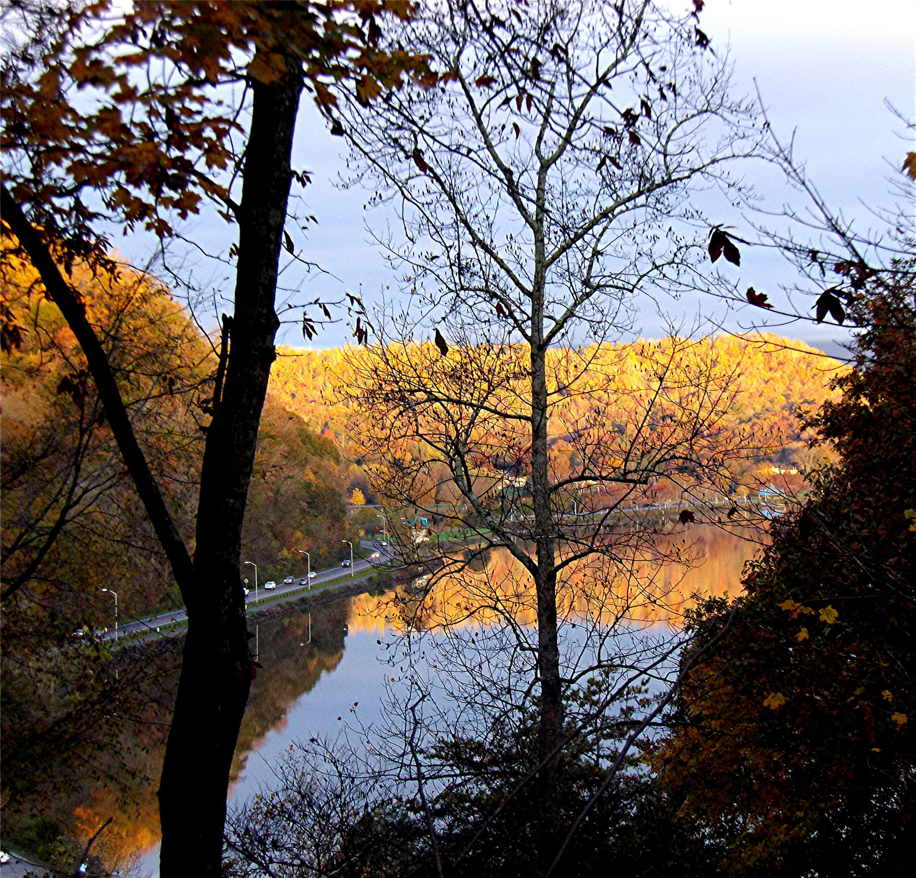 42 Rivers Run Way Oak Ridge, TN 37830 - Photo 36 of 37 Autumn View of the Marina