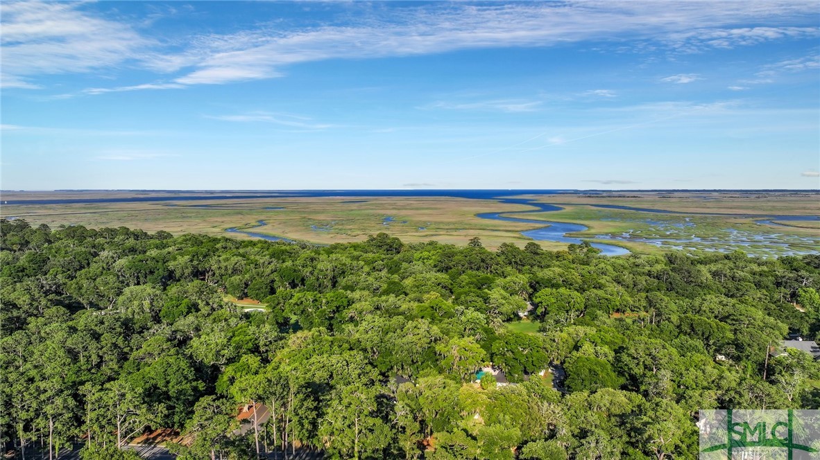 1 Bray Lane Savannah, GA 31411 - Photo 46 of 49