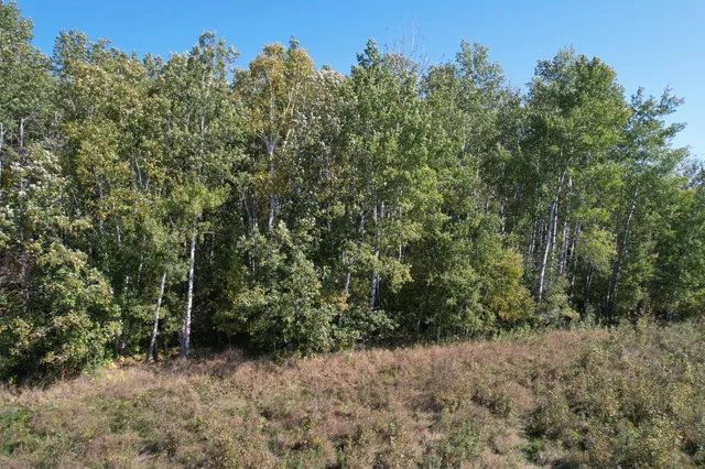 $48,900 | 30-xxx 480th Street, Palisade, MN 56469