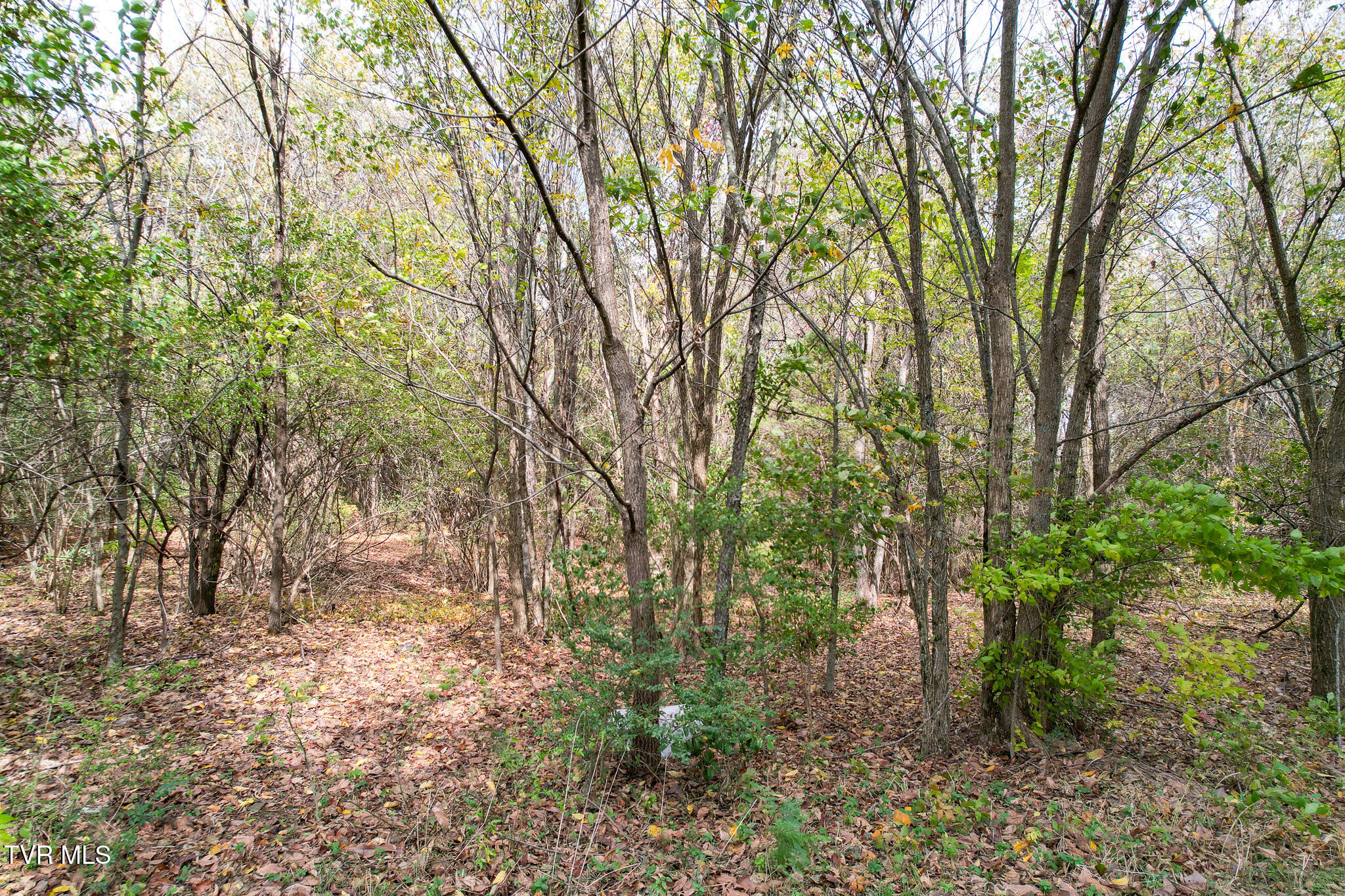 0 North Morelock Road Morristown, TN 37814 - Photo 22 of 32 DJI_0158