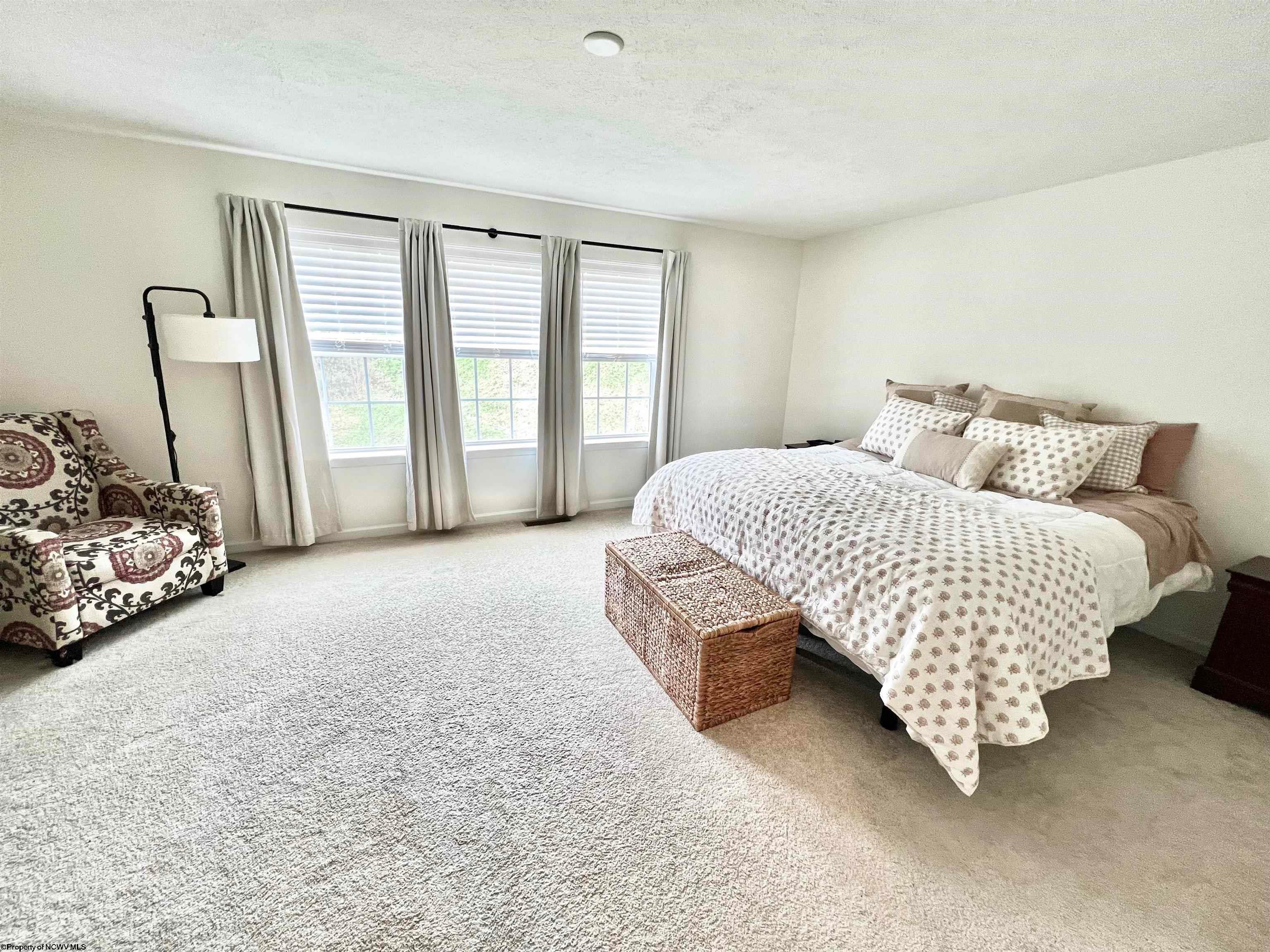 141 Inlet Street Morgantown, WV 26508 - Photo 12 of 33 Gallery Image 12