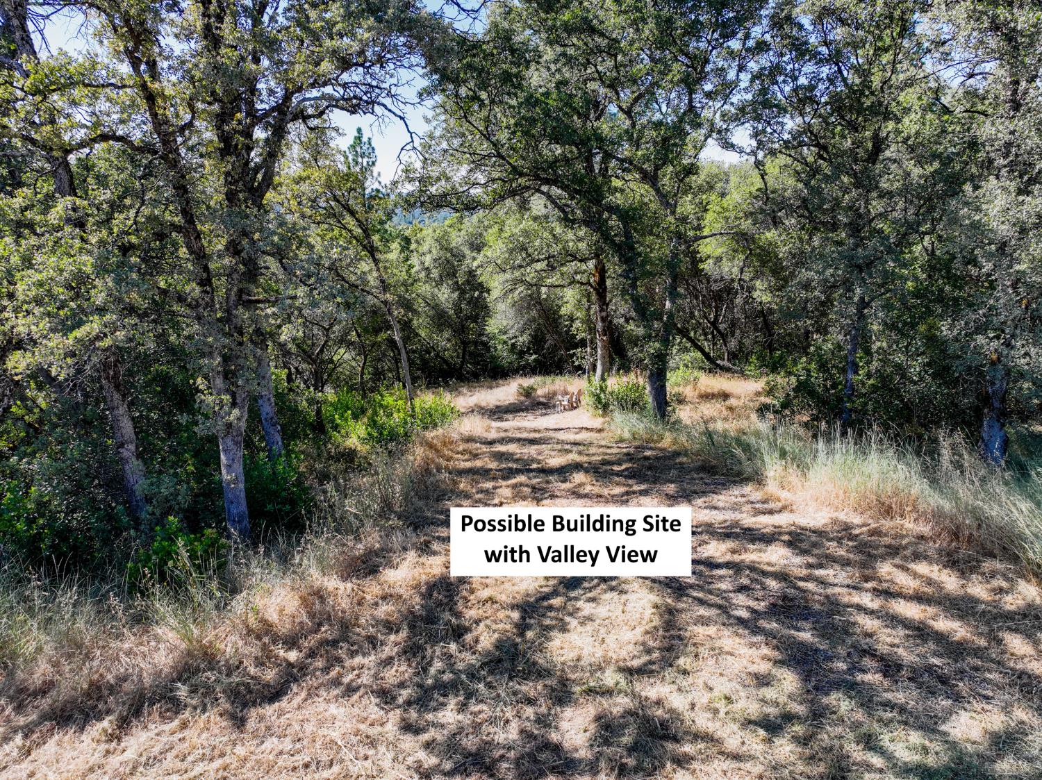 16970 Southridge Road Penn Valley, CA 95946 - Photo 3 of 45