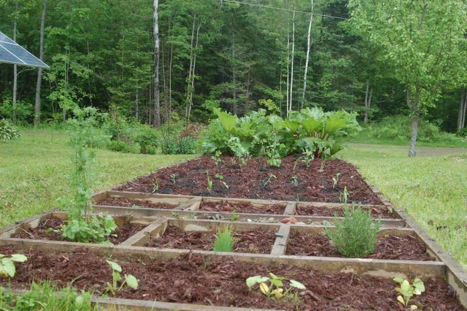 96 Webb Road Thorndike, ME 04986 - Photo 28 of 43 Vegetable garden beds