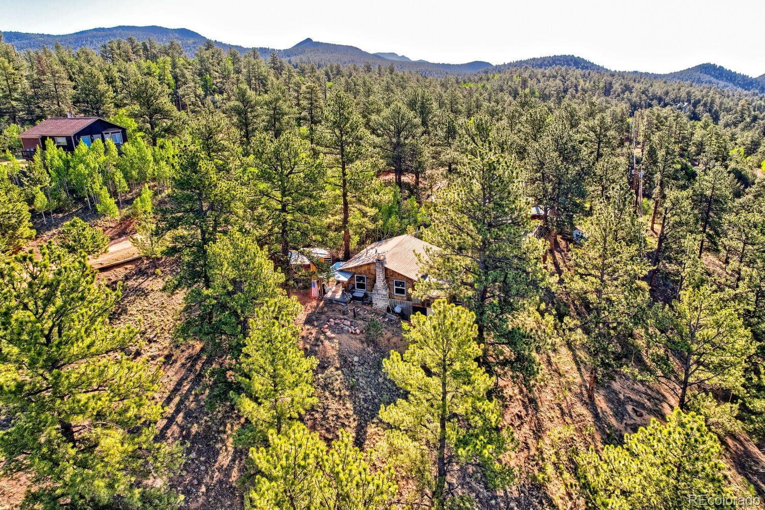 226 Hall Road Bailey, CO 80421 - Photo 33 of 39