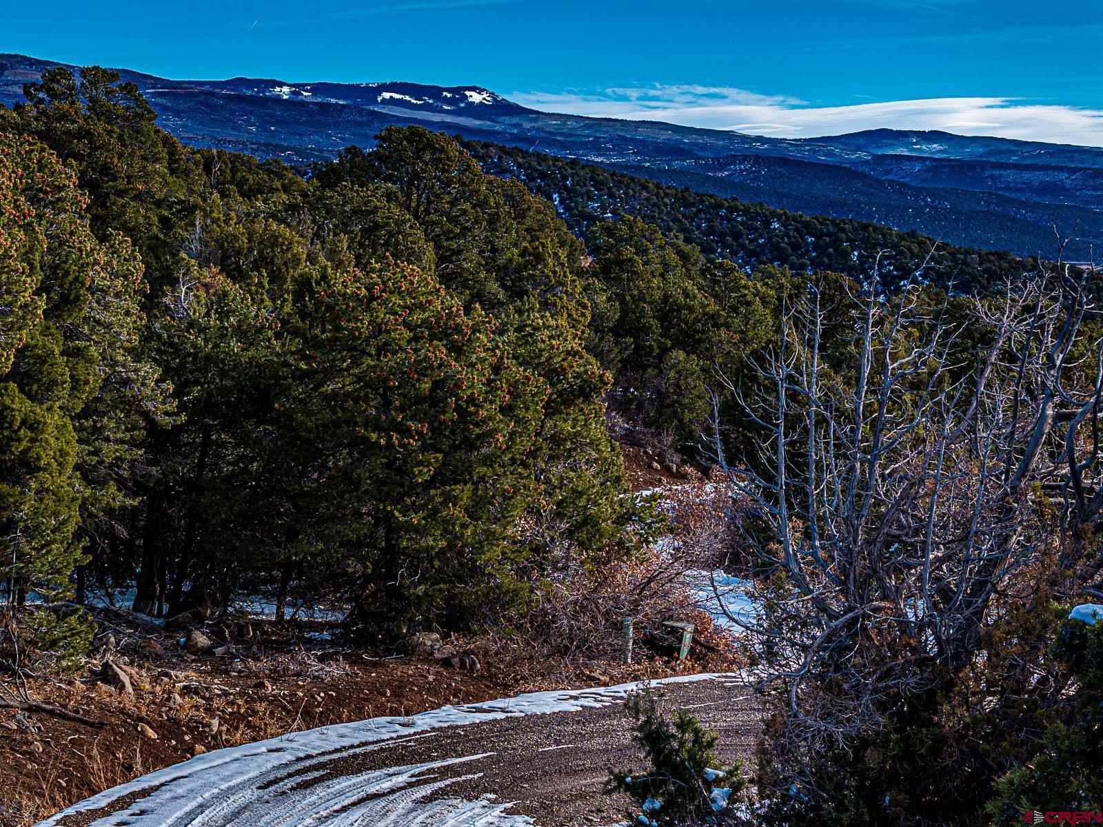 Tbd Tbd Bear Slide Road Cedaredge, CO 81413 - Photo 15 of 24 a view of a yard