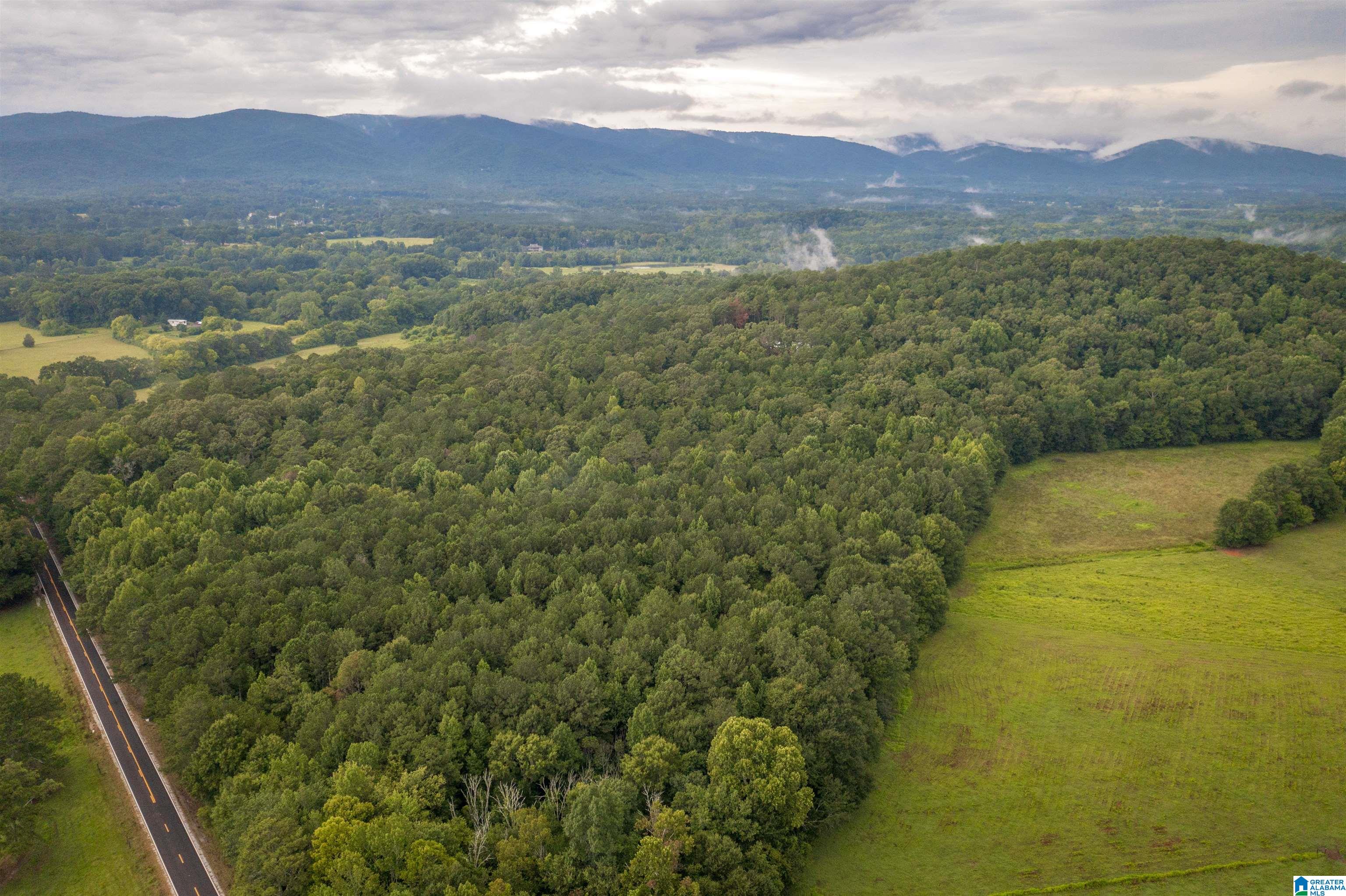 0 Iron City Cutoff Road, Unit 4 Anniston, AL 36207 - Photo 8 of 19