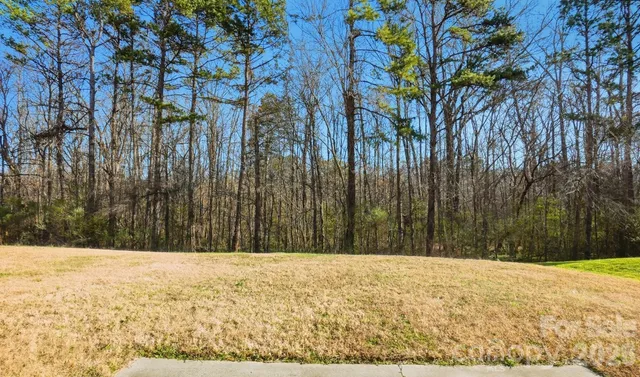 a view of a yard with a tree