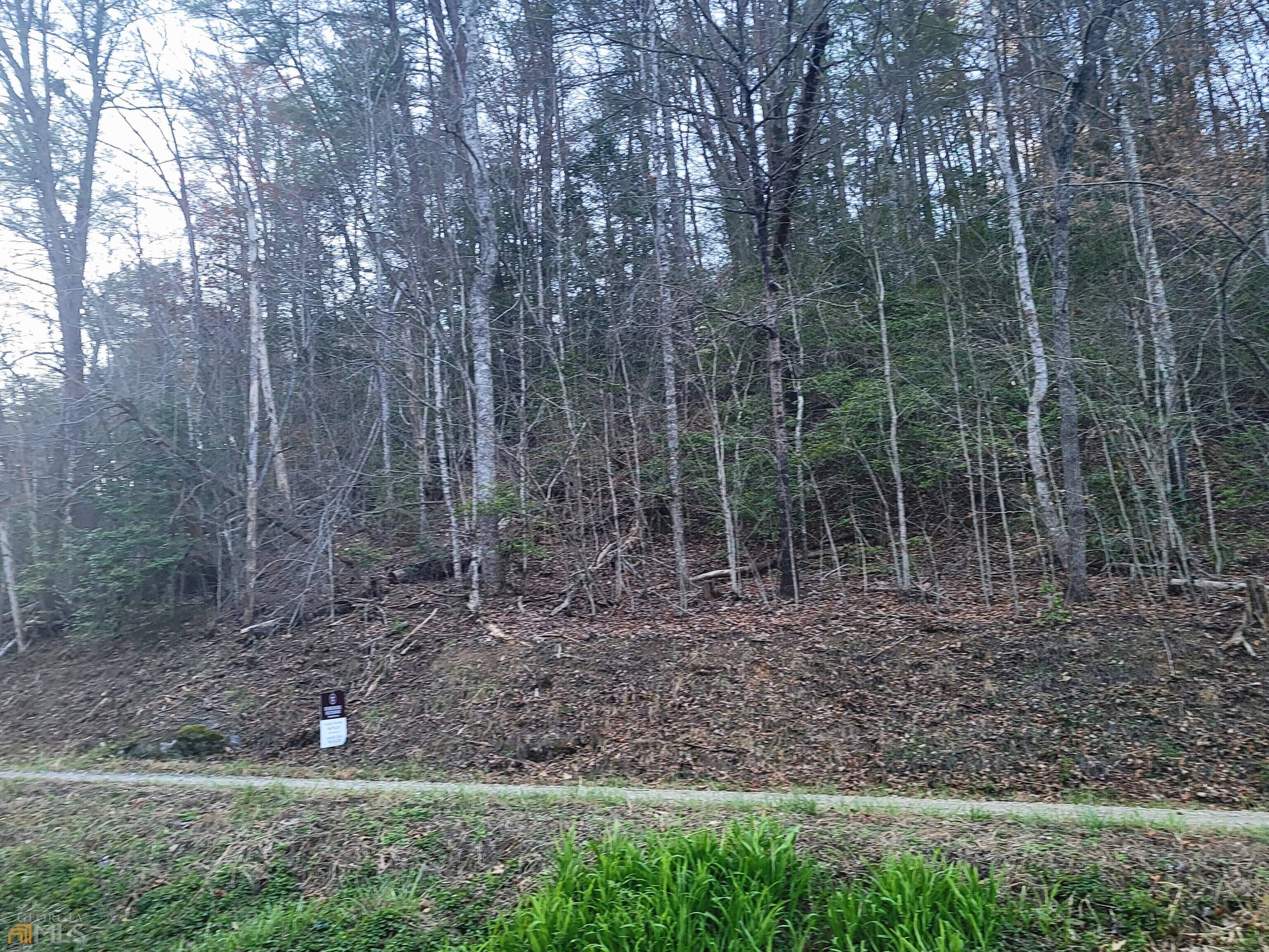 Lot 4 Myra Branch Road Helen, GA 30545 - Photo 1 of 1 Gallery Image 1