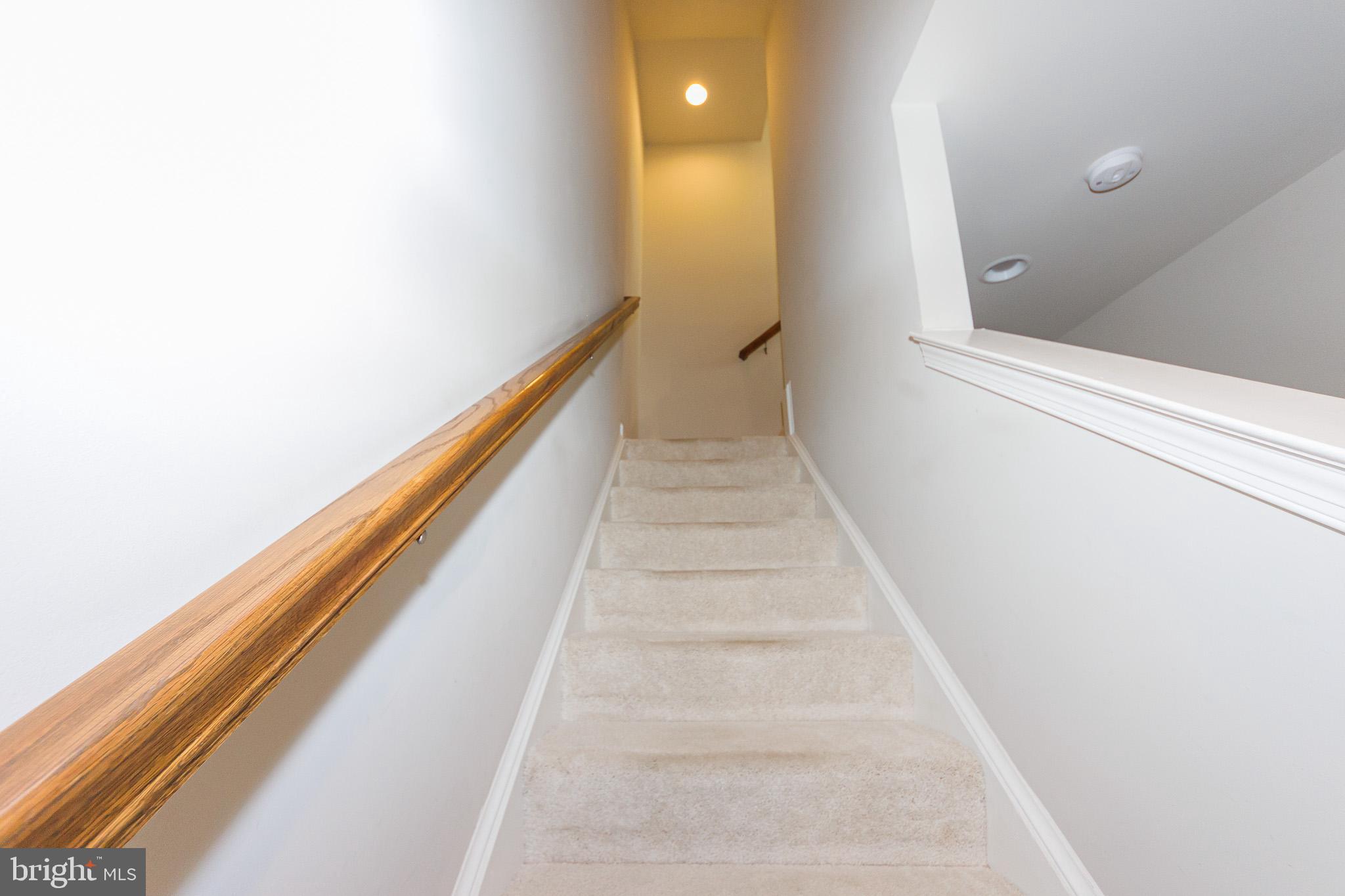 16201 Coolidge Avenue Silver Spring, MD 20906 - Photo 5 of 40 Carpeted stairs to main level
