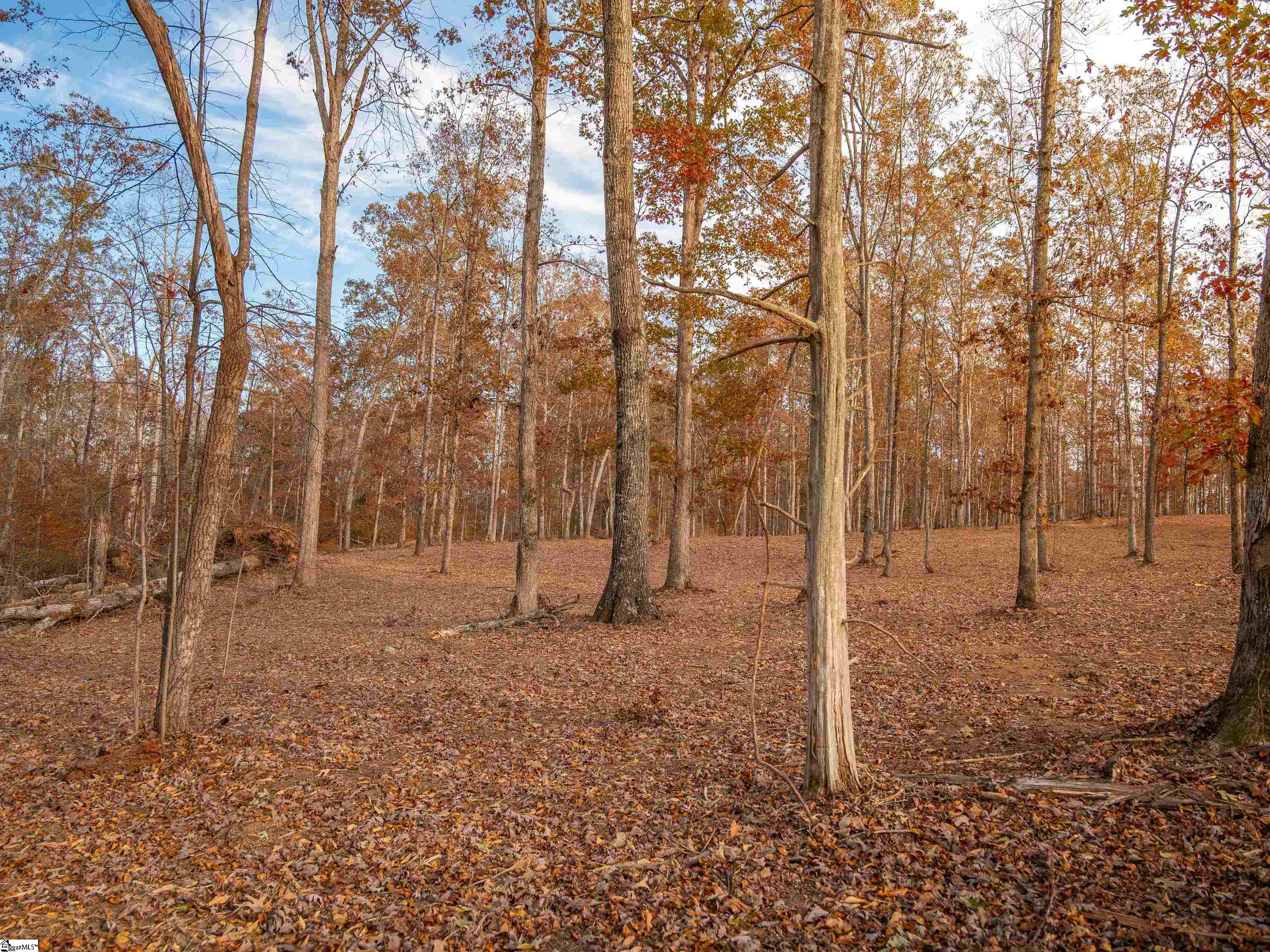253 West Chapman Road, Unit LOT 8 Belton, SC 29627 - Photo 16 of 23