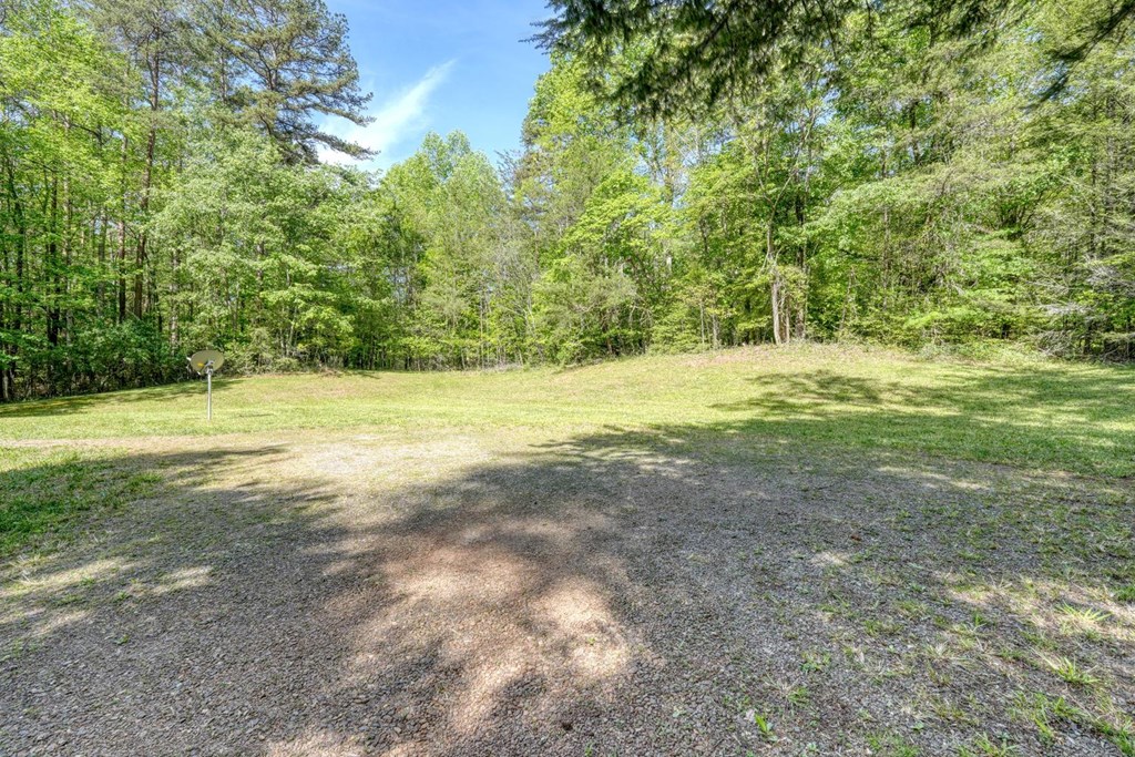 1493 Greasy Creek Road Brasstown, NC 28902 - Photo 48 of 51