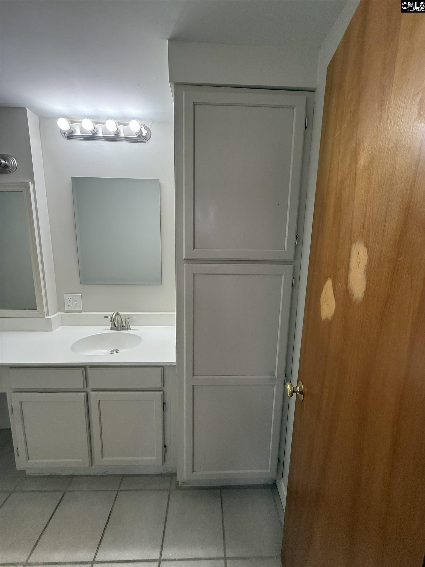 2002 Greene Street, Unit 209 Columbia, SC 29205 - Photo 7 of 22 a bathroom with a sink and a mirror