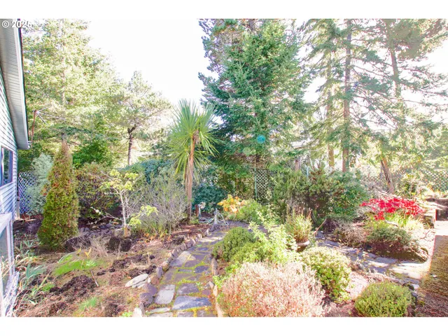 a view of a flower in a yard