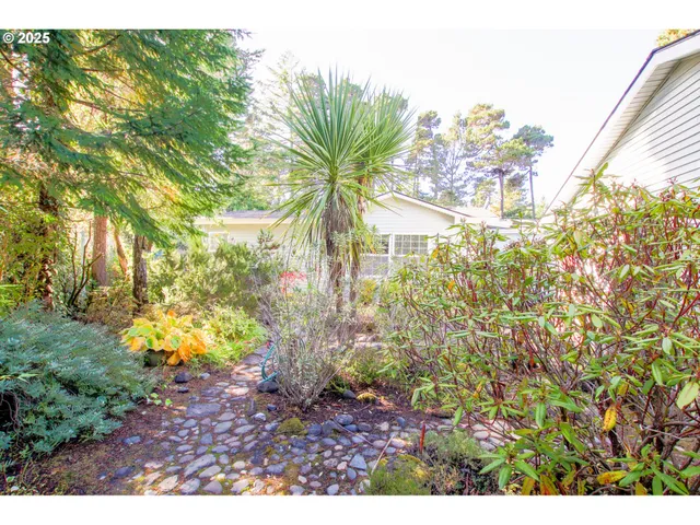 a view of a yard with plants