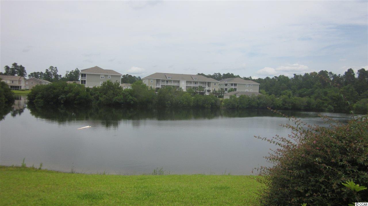 350 Kiskadee Loop, Unit D Conway, SC 29526 - Photo 7 of 16 Gallery Image 7