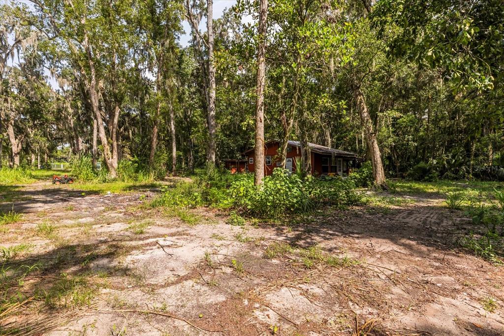 2301 Jeslan Court Oviedo, FL 32765 - Photo 11 of 26 a backyard of a house with lots of green space