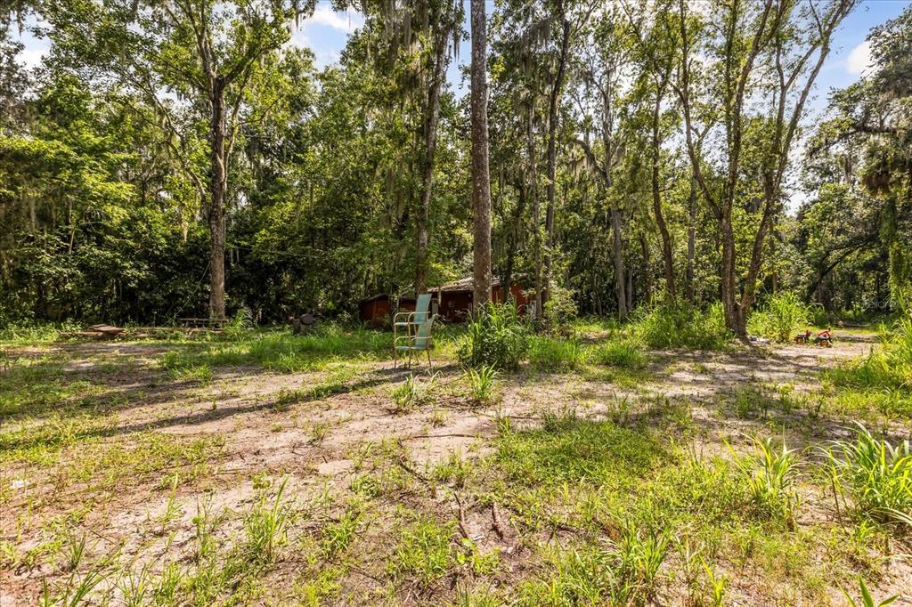 2301 Jeslan Court Oviedo, FL 32765 - Photo 13 of 26 a view of a yard with a tree