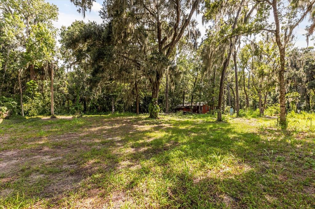 2301 Jeslan Court Oviedo, FL 32765 - Photo 14 of 26 a view of outdoor space with trees all around