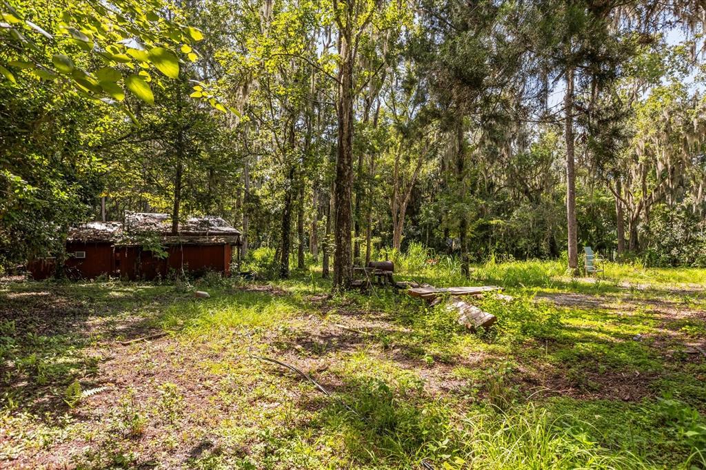 2301 Jeslan Court Oviedo, FL 32765 - Photo 16 of 26 a backyard of a house with lots of green space