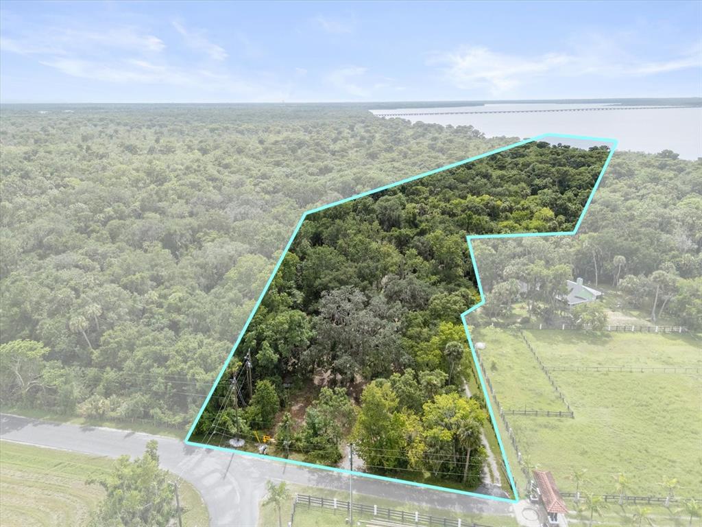 2301 Jeslan Court Oviedo, FL 32765 - Photo 3 of 26 a view of a garden