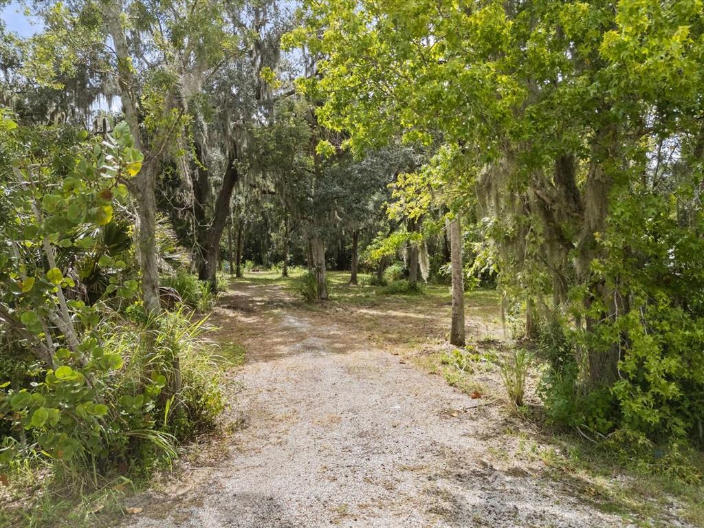 2301 Jeslan Court Oviedo, FL 32765 - Photo 5 of 26 a view of outdoor space with trees